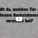 Titelbild Buchstabensalat - Das beste Spiel: Memory kostenlos online spielen
